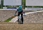 921H8333 bmx-tc-12-9-21